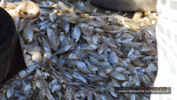 photo 1497176