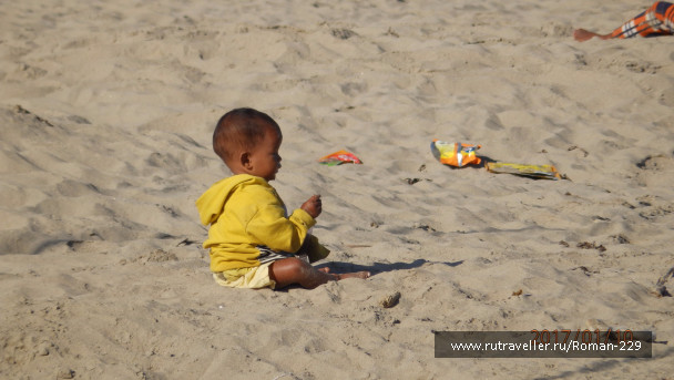 photo 1497187
