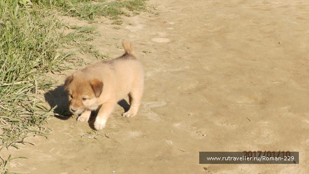 photo 1497189