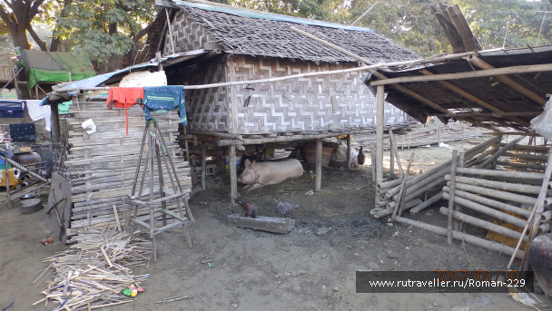 photo 1497217