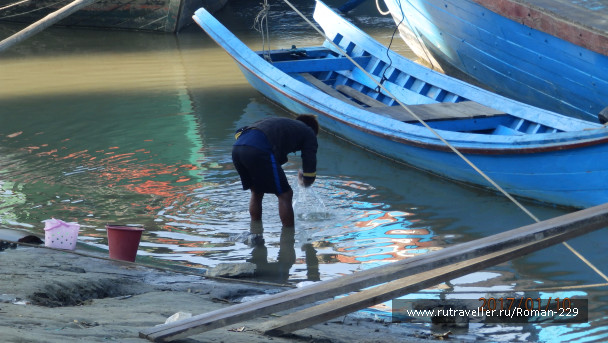 photo 1497231