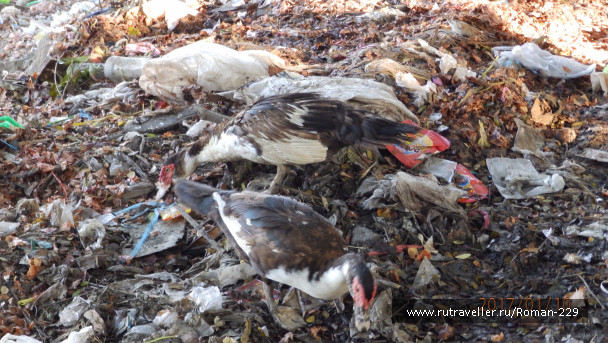 photo 1497248