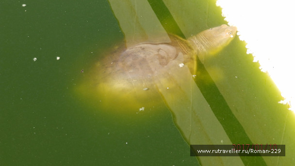 photo 1497571