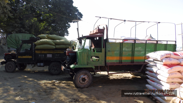 photo 1497629