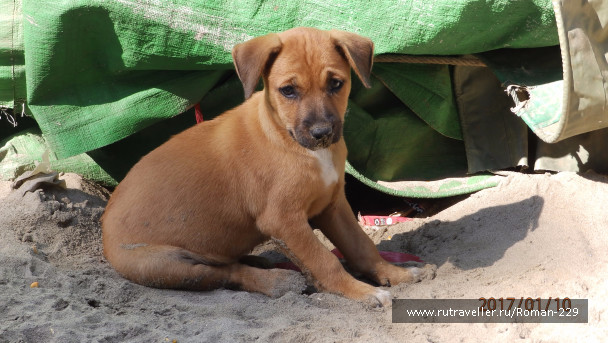 photo 1497630