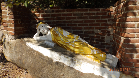 photo 1515983