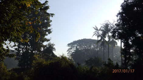 photo 1521492