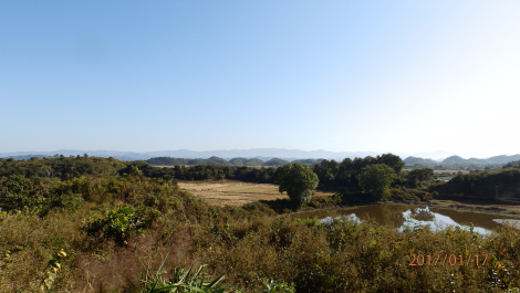 photo 1531825