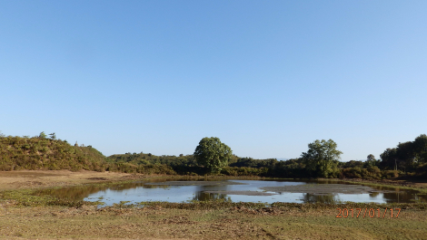 photo 1531834