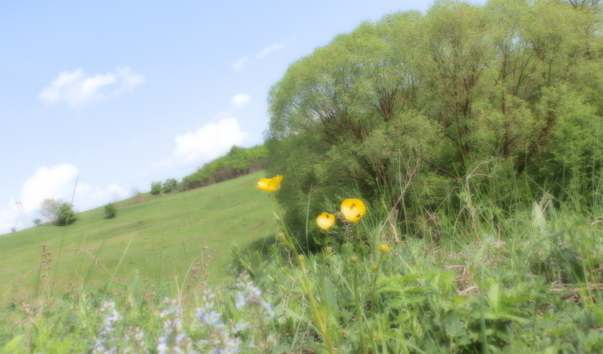 P5078207