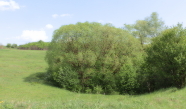 P5078206