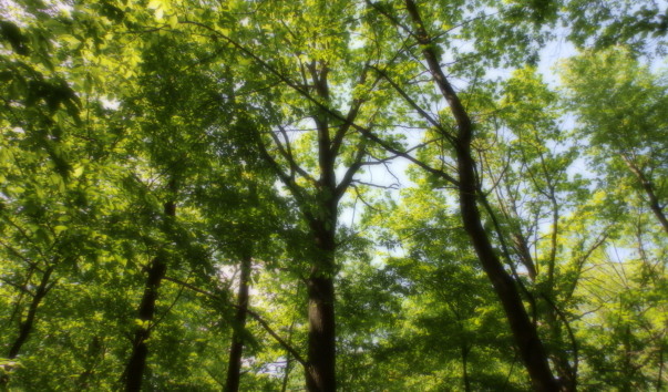 P5078171