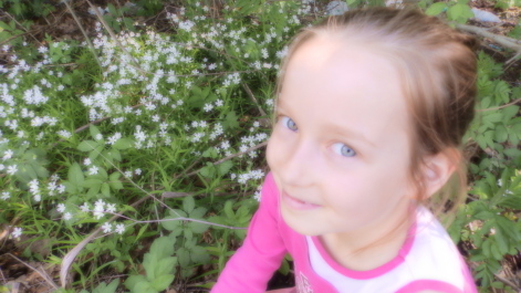 photo 1520890