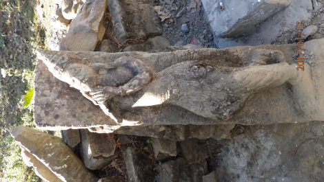 photo 1531783