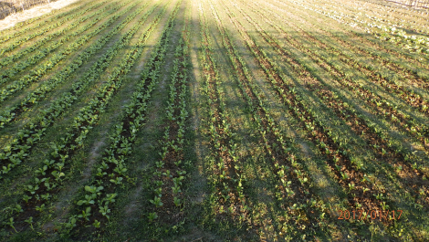 photo 1534740