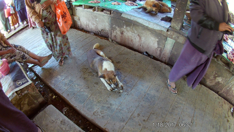 photo 1536261