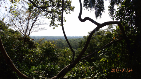 photo 1540134