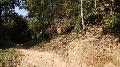 photo 1540138