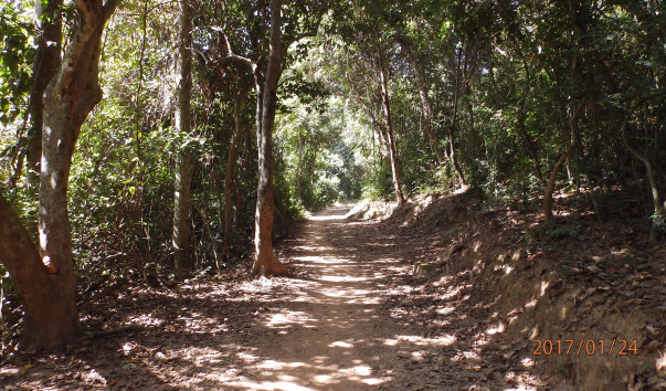 P1246450