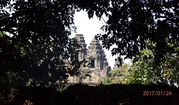 P1246471
