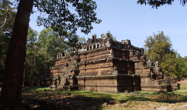 P1246549