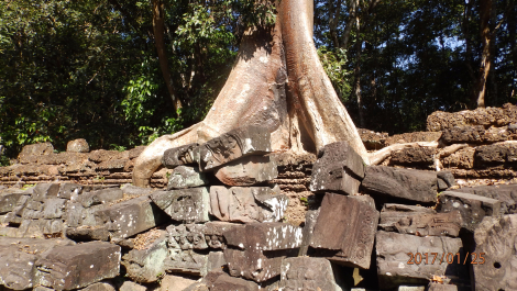 photo 1542726