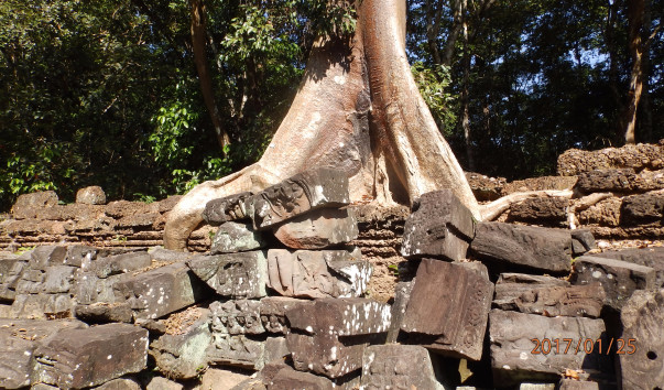 P1256757