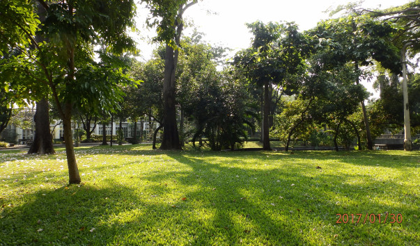 P1307263