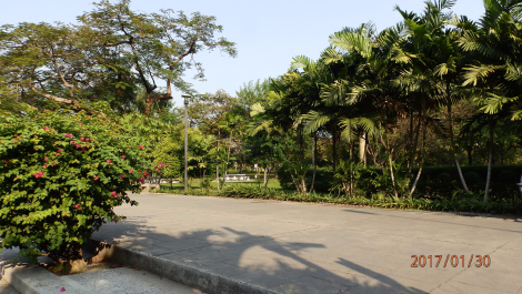 photo 1556016