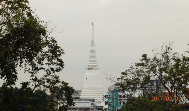 P2037824
