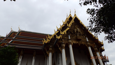 photo 1559864