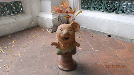 photo 1562208
