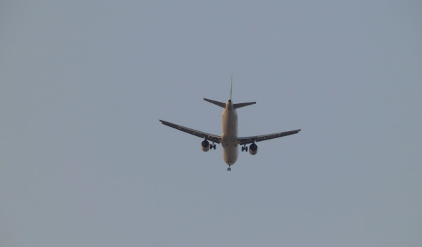 P8248385