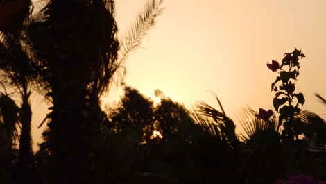 photo 1569934