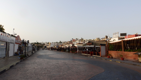 photo 1571446
