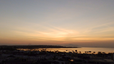 photo 1572694