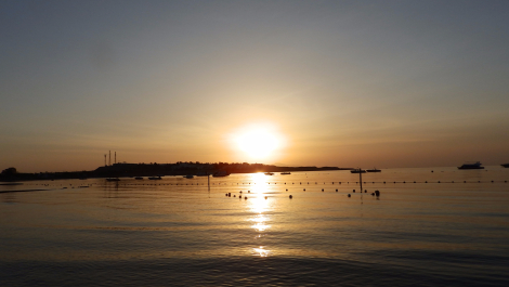 photo 1574323