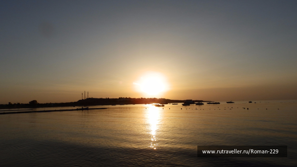 photo 1575104