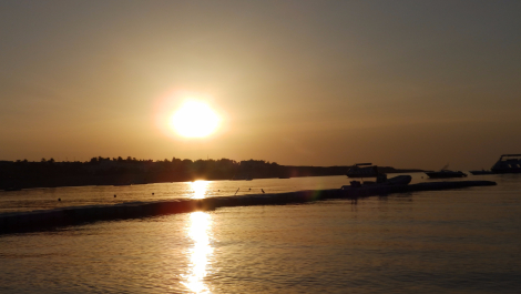 photo 1575462