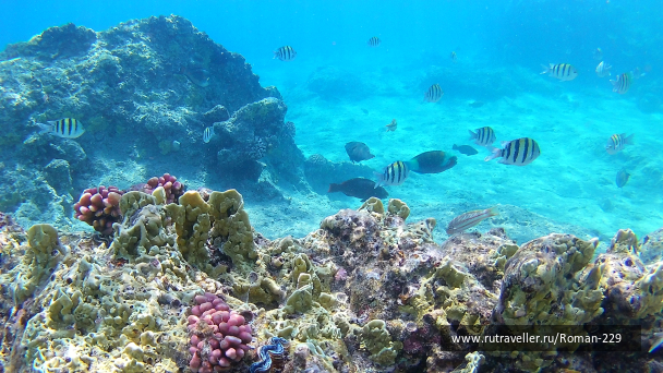 photo 1597163