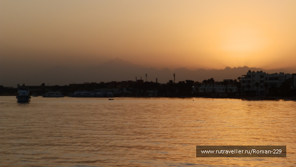 photo 1645858