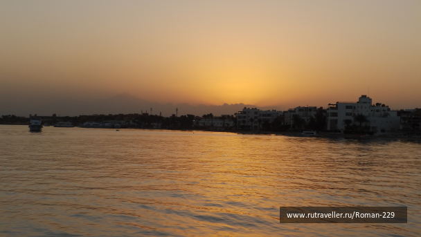 photo 1646446