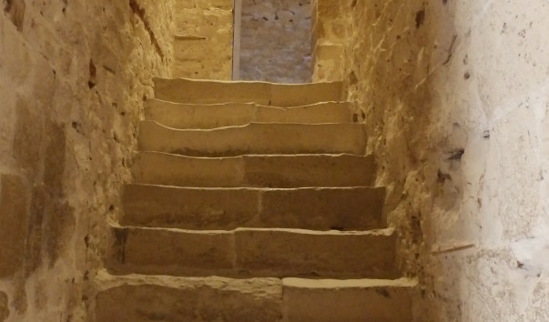 P1119525