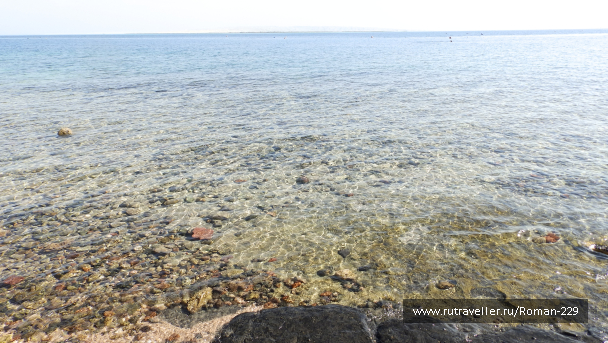 photo 1647120