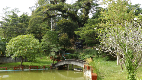 photo 1746357
