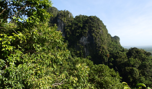 PC060614