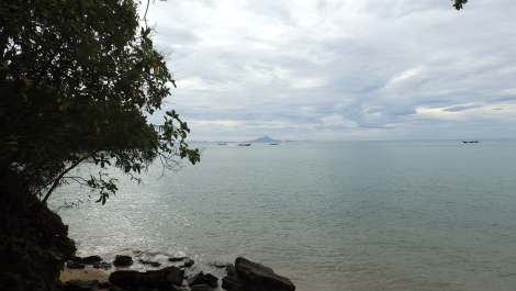 photo 1752856