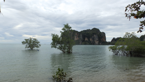 photo 1752857