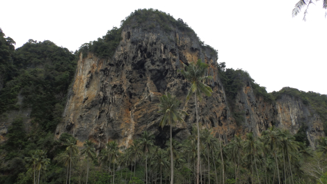 photo 1754065