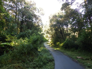 photo 1758369